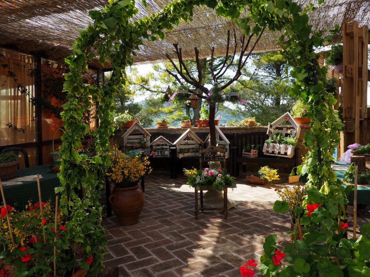 Agriturismo I Muri Farm stay