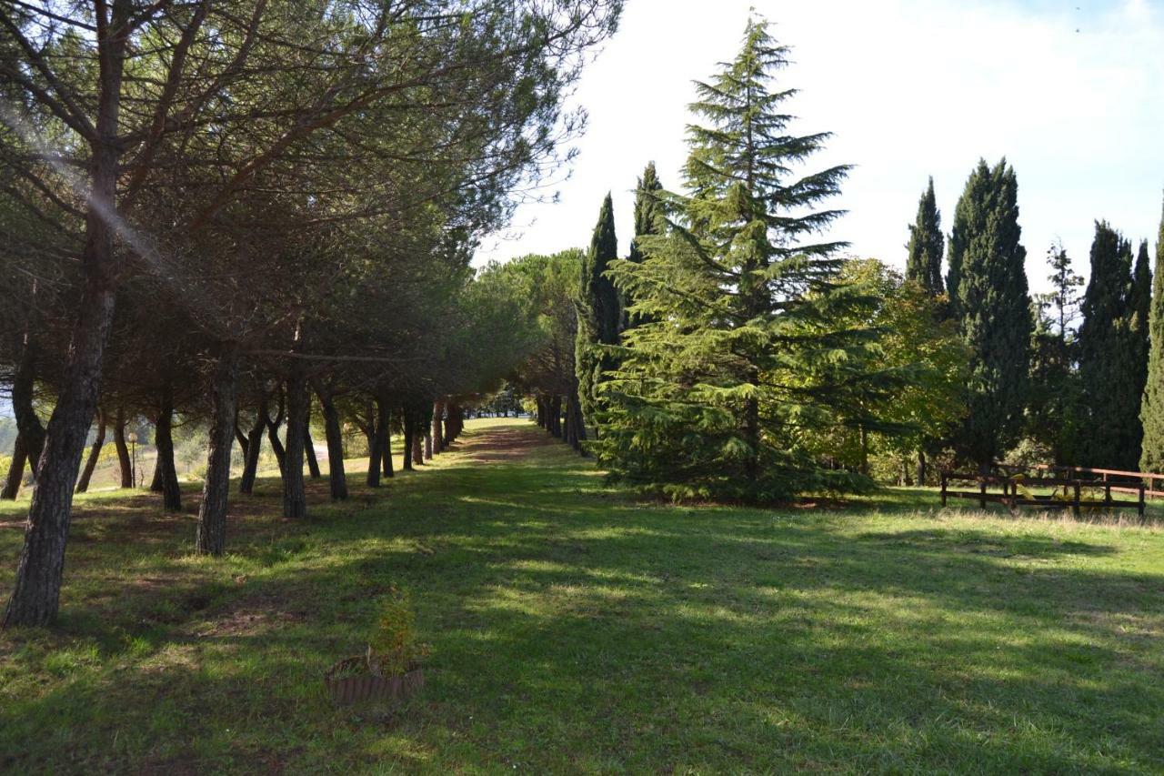 Agriturismo I Muri Farm stay *