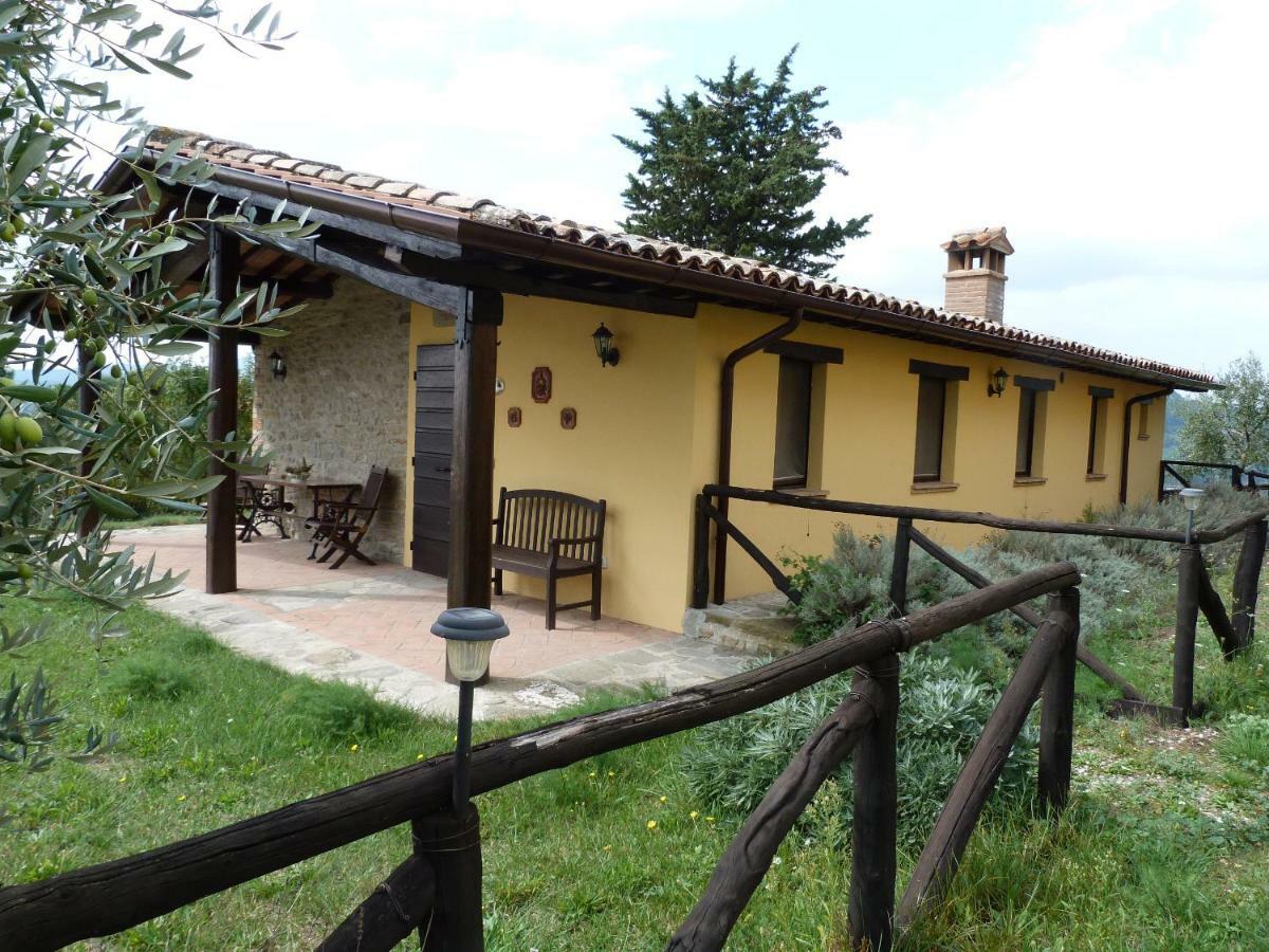 Séjour à la ferme Agriturismo I Muri Monte Santa Maria Tiberina
